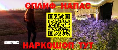 PSILOCYBIN Бугуруслан