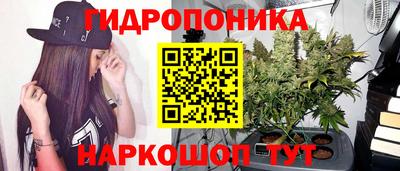 mix Будённовск