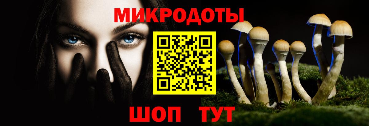 Лесосибирск  Псилоцибиновые грибы мухоморы  Вход с VPN 
